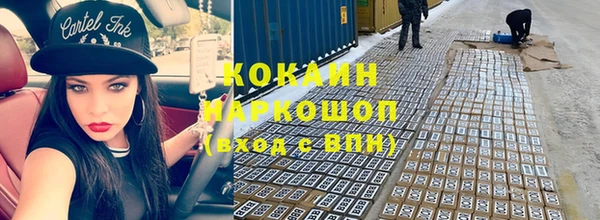 стафф Алзамай