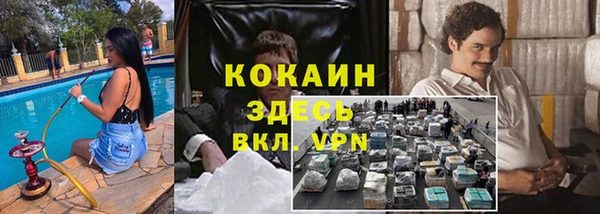 стафф Алзамай