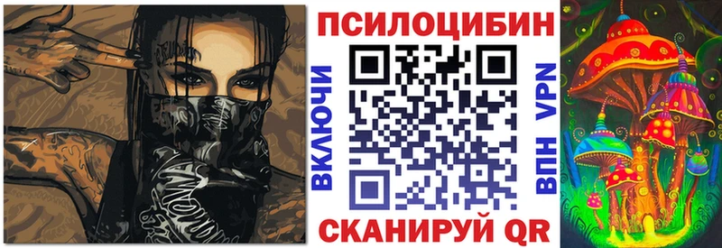 закладка  Махачкала  Галлюциногенные грибы GOLDEN TEACHER 